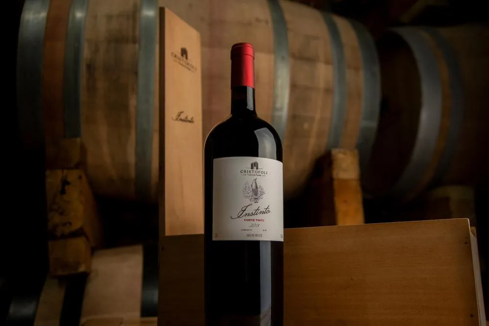 Vinícola de Bento vai vender "tesouro" encontrado no porão de uma casa