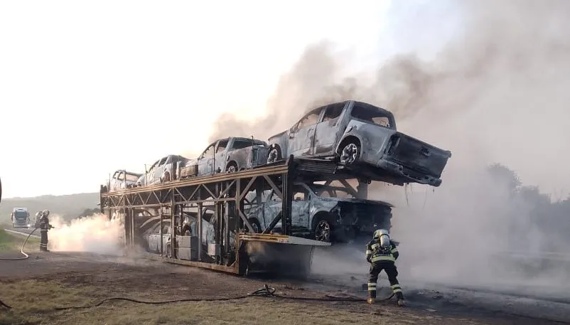 Motorista conseguiu retirar o cavalo e evitar que fogo chegasse até a cabine do caminhão