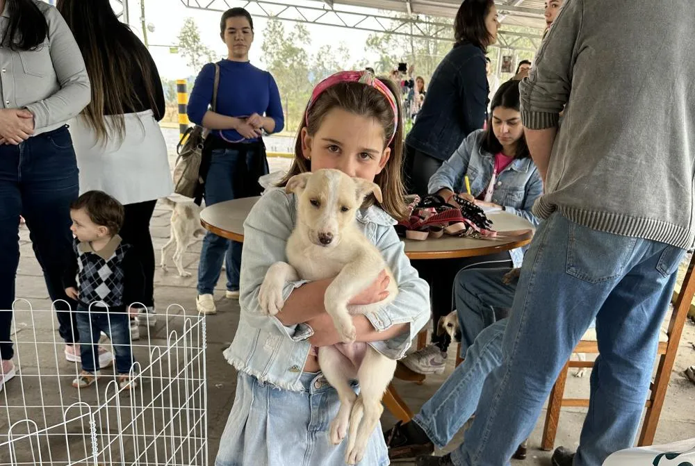 Pet Day da Multimóveis encontra lar para 10 cãezinhos em Bento
