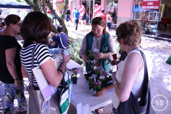 Via del Vino recebe evento para comemorar o Dia da Mulher