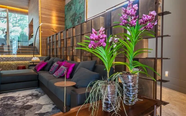 Orquídeas estão entre as flores mais fáceis para se cuidar em casa