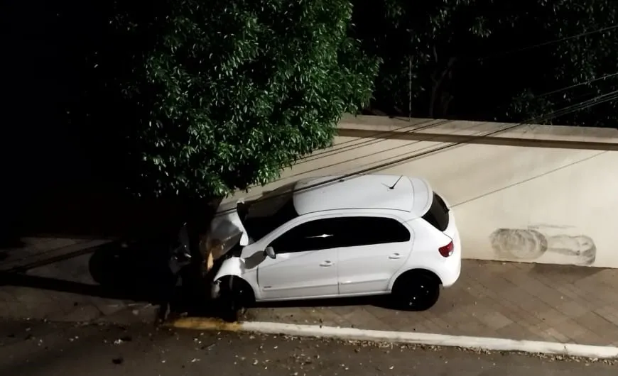 Automóvel colidiu contra uma árvore na rua Xingú - Foto: Divulgação