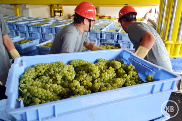 Augusto Tomasi/Vagão Filmes/Divulgação