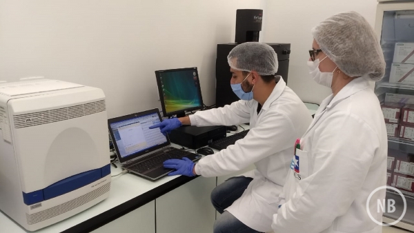 André Streck/Divulgação