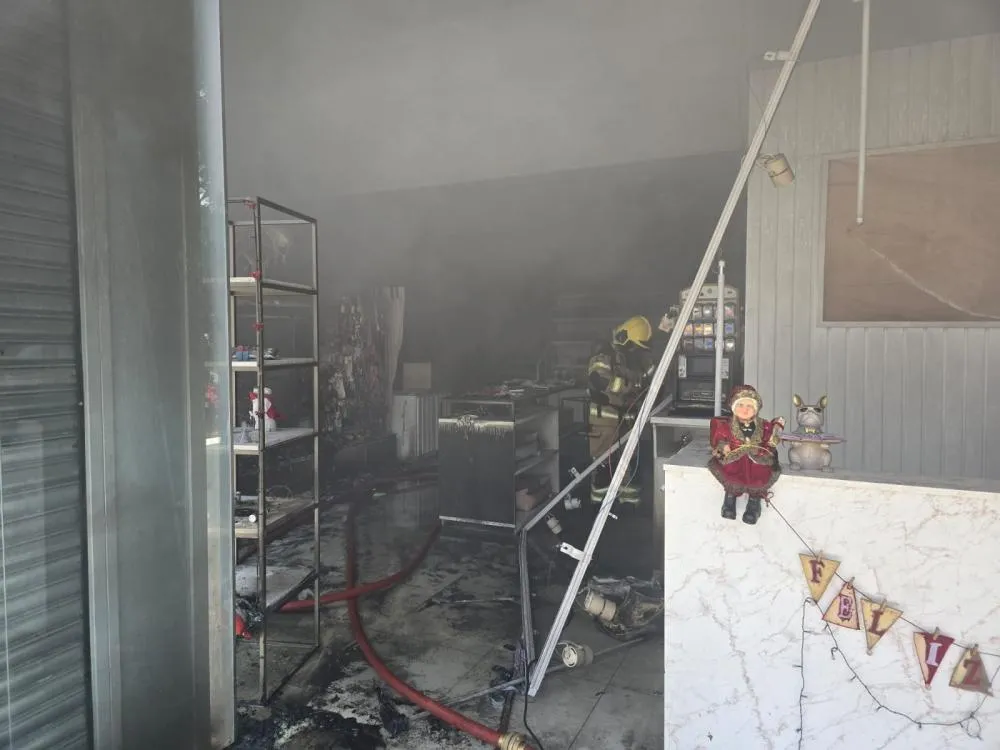 Incêndio criminoso é registrado em Pet Shop de Bento Gonçalves