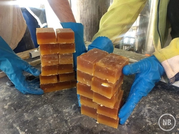 Fabiane Capellaro/Divulgação