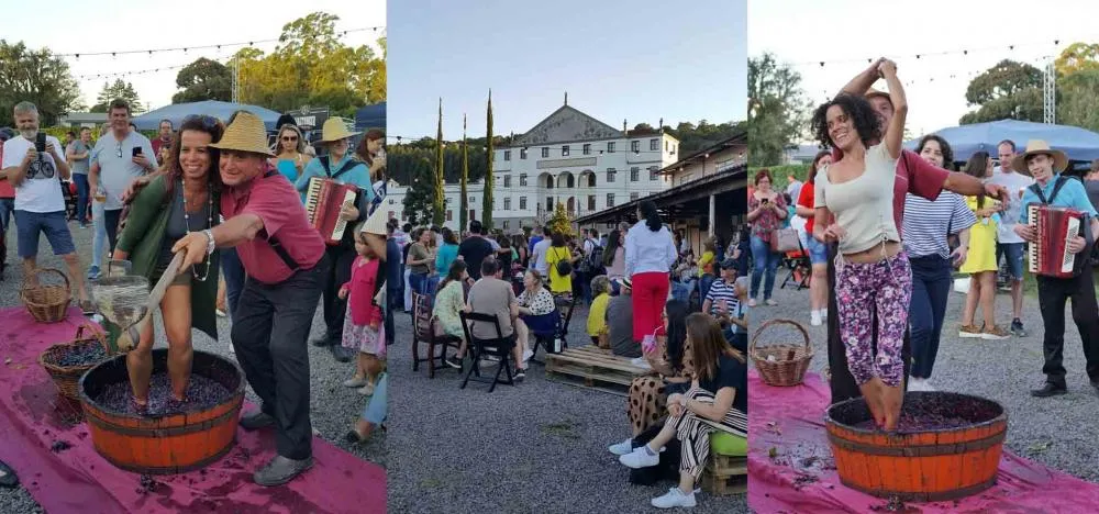 Todos os caminhos te levam ao Festival Sabores da Vindima