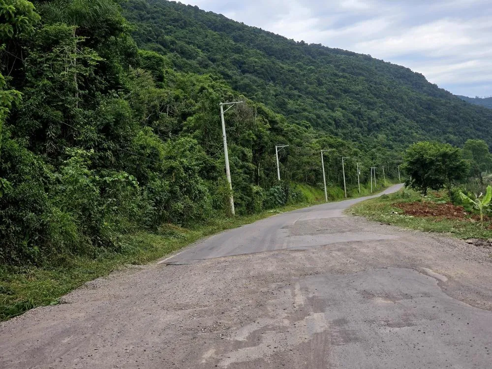 ERS-431 teve o asfalto inteiramente destruído no trecho da Linha Alcântara - Foto: NB Notícias