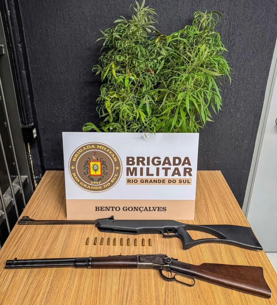 Homem foi preso em flagrante e armas e pés de maconha foram apreendidos - Foto: Brigada Militar/Especial