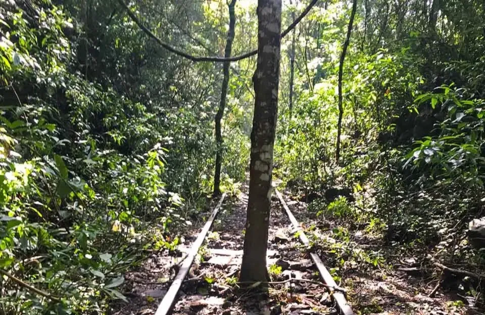 Criação da Frente Parlamentar da Linha Férrea é barrada na Câmara de Bento